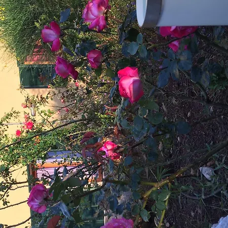 Mele Séjour à la ferme Copertino