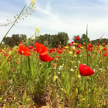 Agriturismo Mele Copertino
